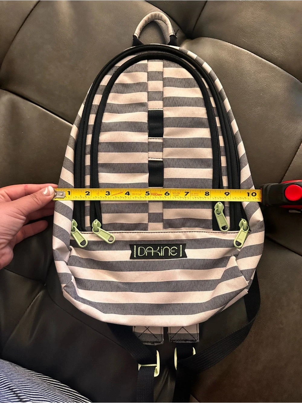 Dakine Gray and White Striped Daypack